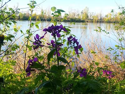 участок по адресу Окружна, 48