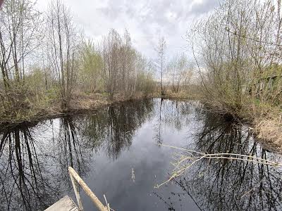 будинок за адресою с. Нижча Дубечня, Ялинка, 1