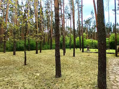 дом по адресу лісова