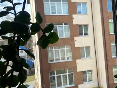 квартира по адресу Олени Теліги ул. (Лермонтова), 6-Д
