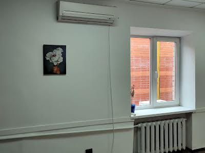 комерційна за адресою Королеви Єлизавети, 15