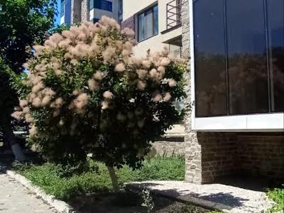 квартира за адресою Віденська вул., 1