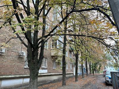 квартира за адресою Дмитра Годзенка вул. (Глазунова), 3