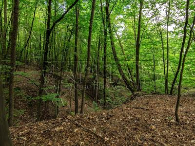 будинок за адресою с. Нові Петрівці, Оболонський