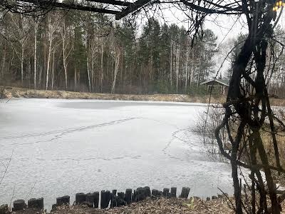 будинок за адресою центральна