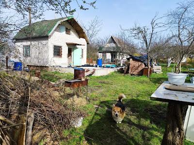 будинок за адресою центральна