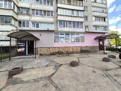 коммерческая по адресу Робітнича, 19