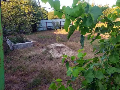 дом по адресу Петровская