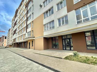 квартира за адресою Володимира Великого вул., 5