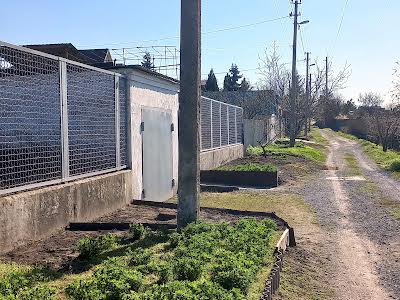 дом по адресу т.пати