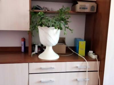 кімната за адресою Роксоляни вул., 12