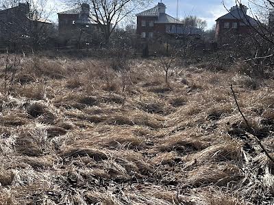 участок по адресу Дачная ул.