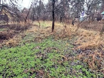 участок по адресу Вышгород, 