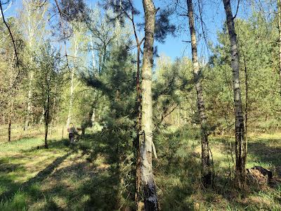 дом по адресу село Дівички