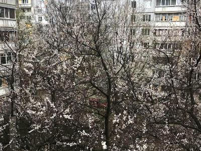 квартира за адресою Тракторобудівників, 128А