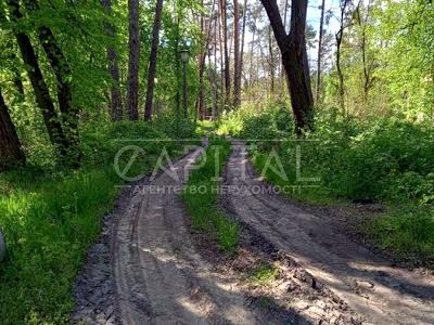 ділянка за адресою Соснова, 4