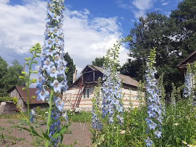 будинок за адресою Глухів, Перемога