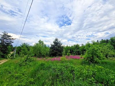 участок по адресу Соколина