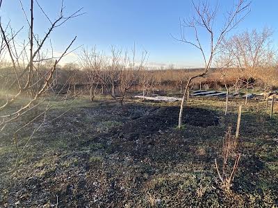 дом по адресу с. Карловка (Крупское), Набережная ул.