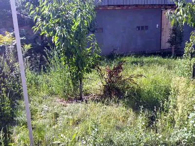будинок за адресою Садова вул., 165