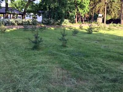 комерційна за адресою Мікрорайон Гайок вул., 4