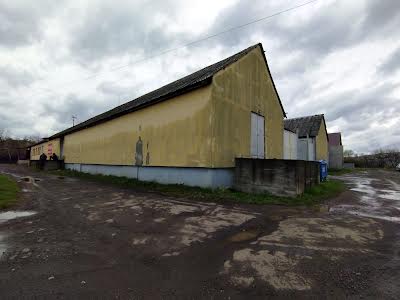 комерційна за адресою Вознесенська вул., 2Б