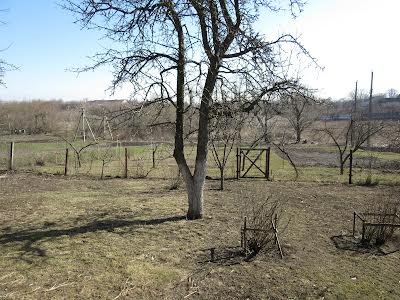 будинок за адресою с. Стави, Центральная, 88