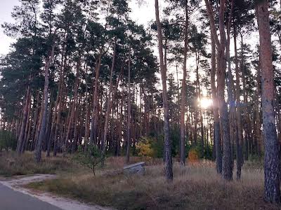 дом по адресу Киев, Лесничая ул.