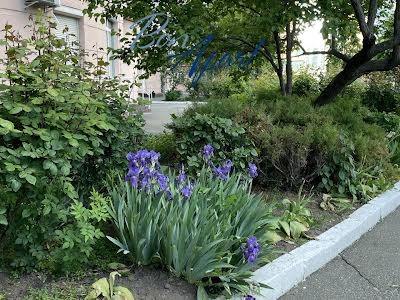 квартира за адресою Миколи Амосова вул., 4