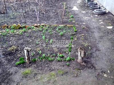 квартира по адресу Тарасовский пер., 28