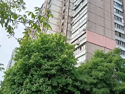 квартира за адресою В'ячеслава Чорновола вул., 10