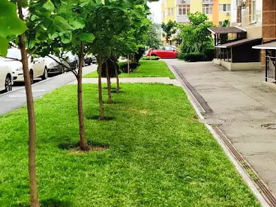 квартира за адресою Сім'ї Кульженків вул. (Петра Дегтяренка), 35