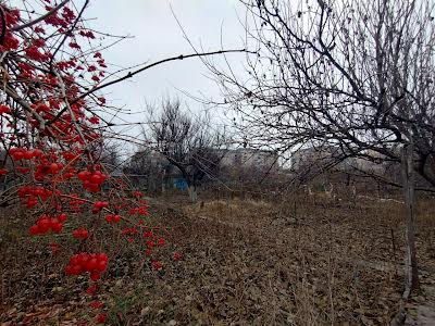 дом по адресу Николаевское ул.