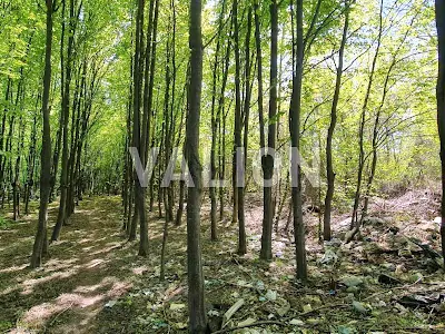 участок по адресу Жулянская ул.