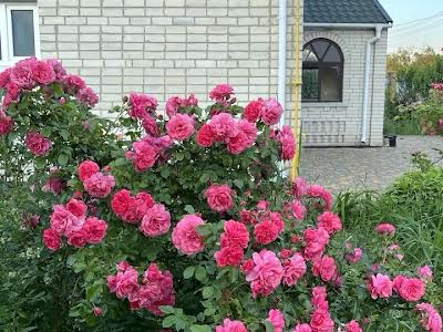 будинок за адресою Кірова, 3