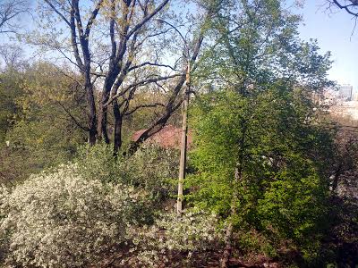 квартира за адресою Миколи Амосова вул., 14