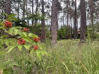 участок по адресу Антония Михайловского ул., 10в