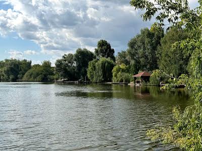 будинок за адресою Південна