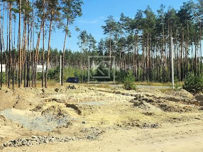 ділянка за адресою незалежності