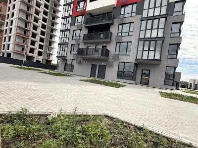 квартира за адресою Олександра Олеся вул., 1