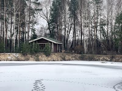 будинок за адресою центральна