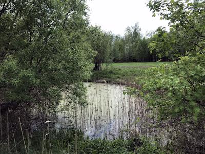 будинок за адресою с. Неданчичі, Гагарина