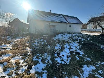 дом по адресу с. Млыновцы, Шевченка, 7