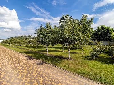 будинок за адресою Великі Мости, Шевченка