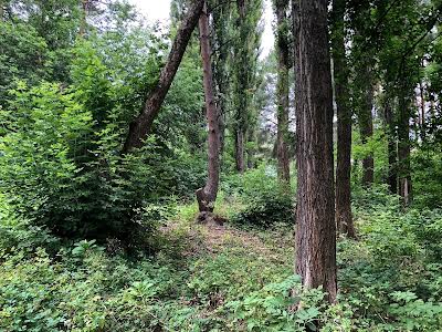 участок по адресу Куренной пер.