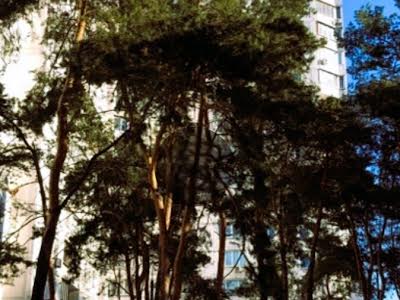 квартира за адресою Мілютенка вул., 17В