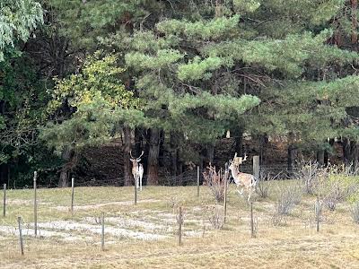 будинок за адресою с. Хотянівка, Лісова вул.