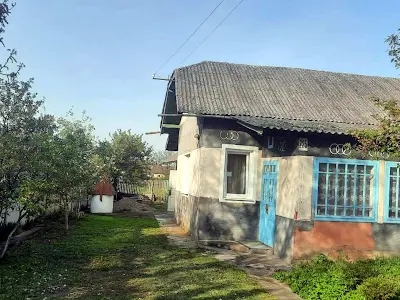 будинок за адресою Левицького, 235