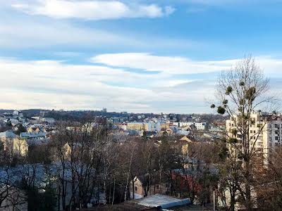 квартира по адресу Львов, Мечникова ул., 16з