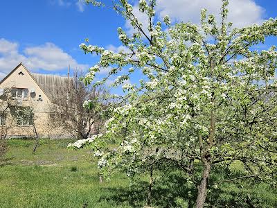 будинок за адресою с. Вишеньки, жертв революціі, 53